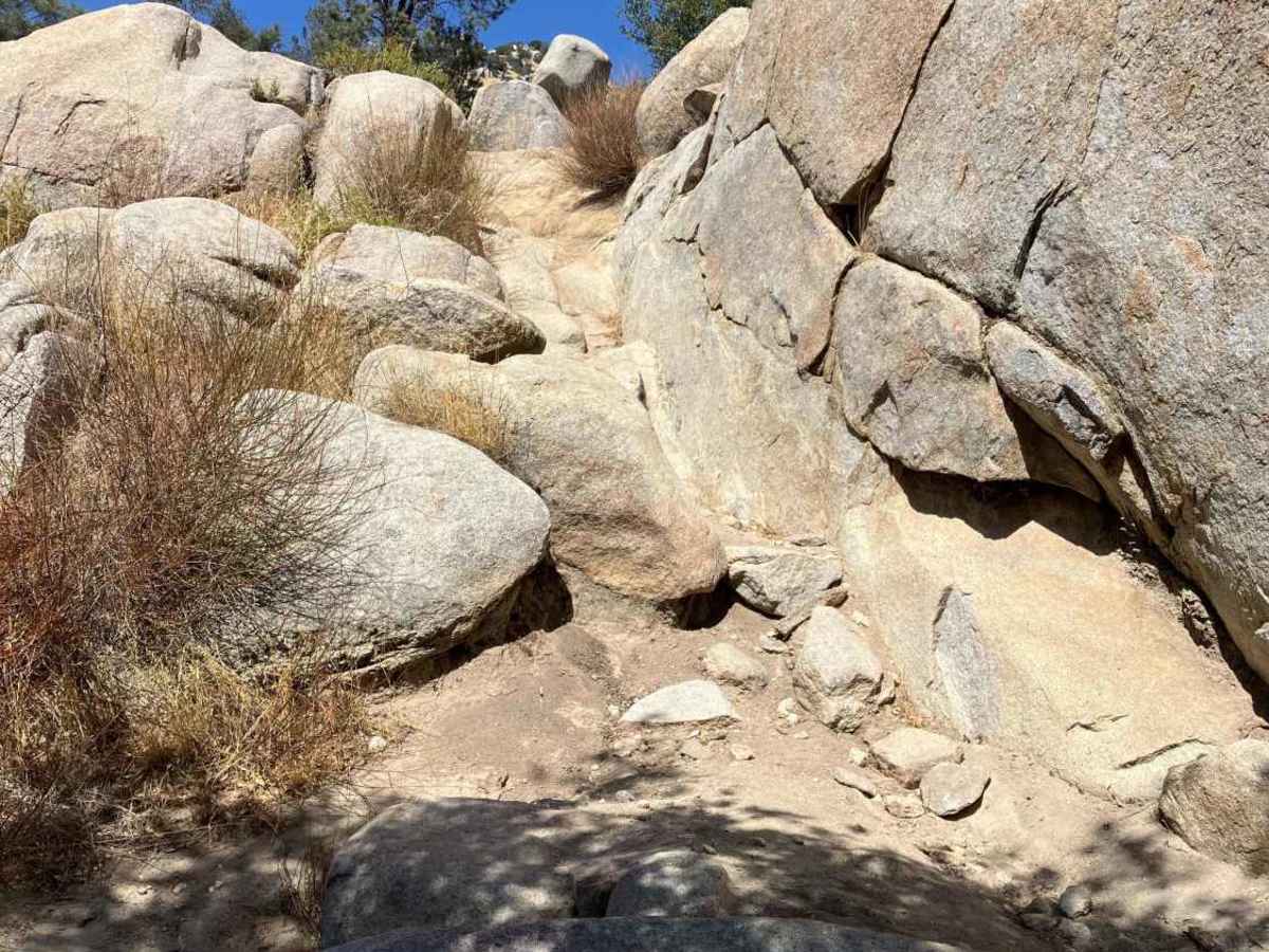 Snake Pit Trail photo 5