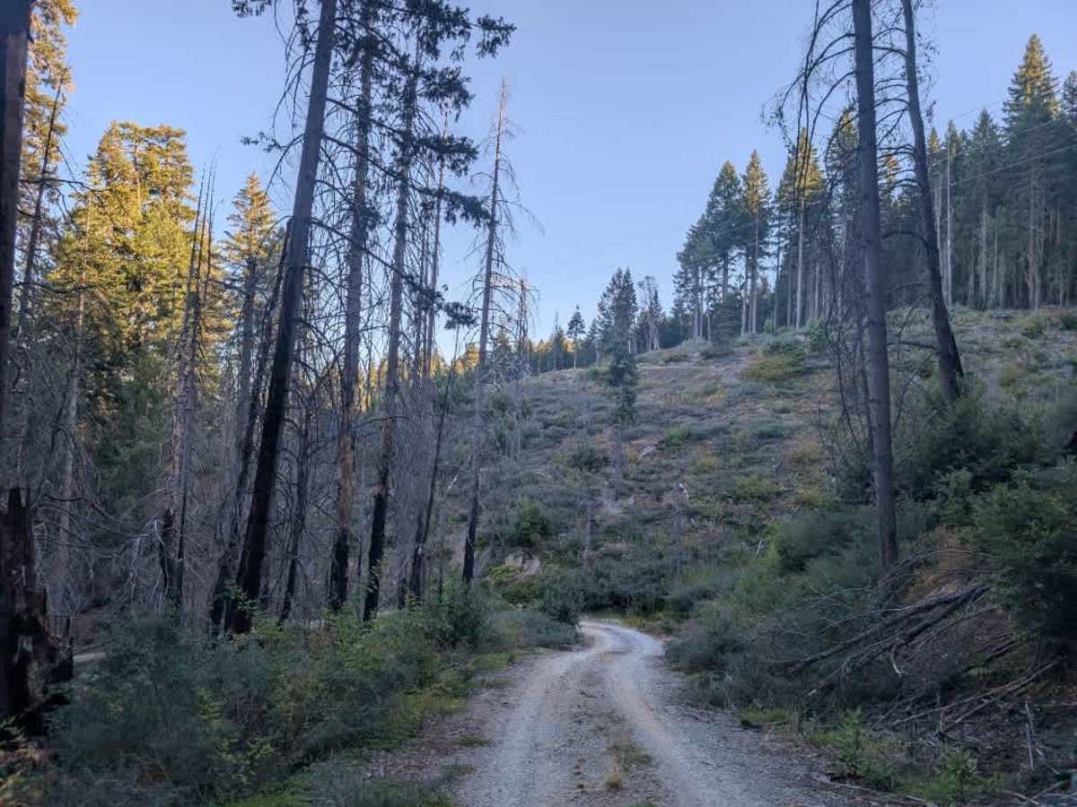 Swift Creek trail photo