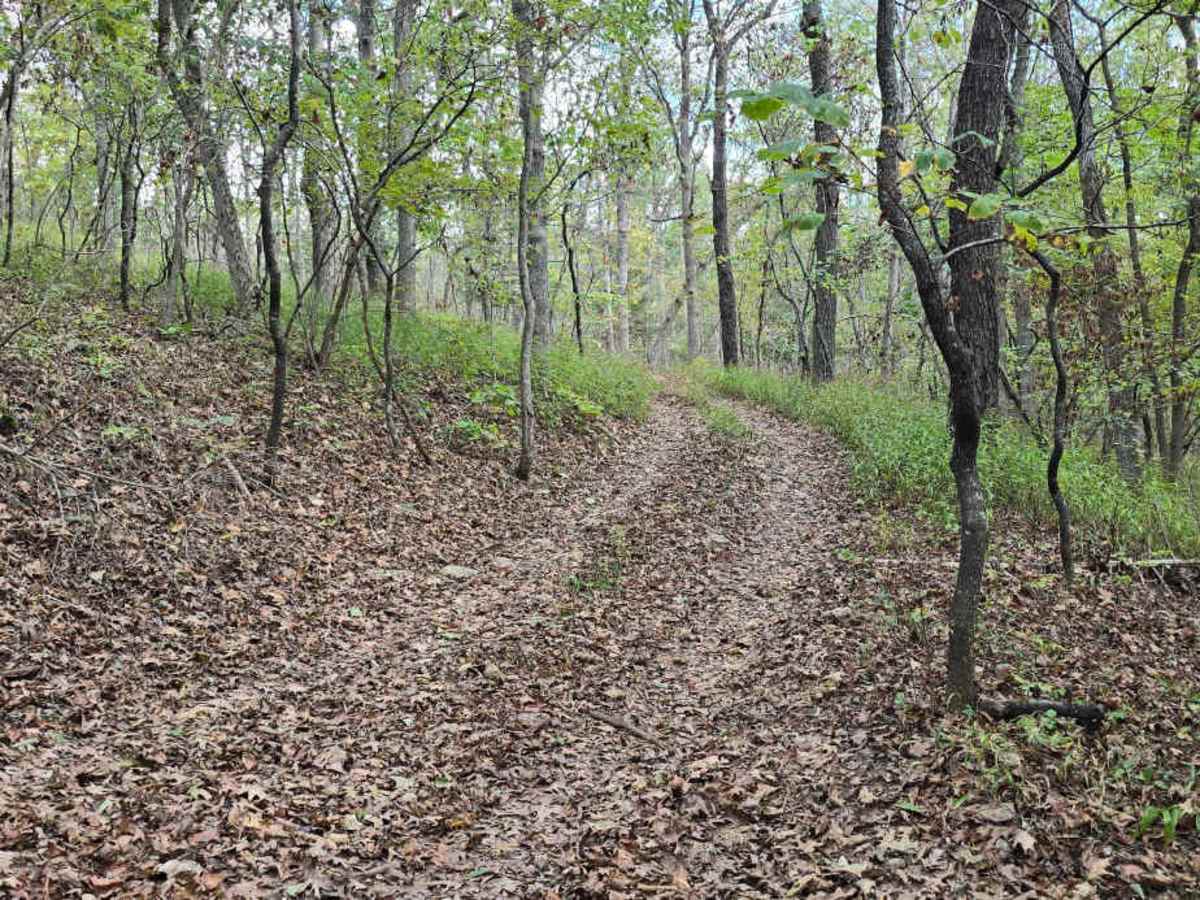 Ledges photo 3