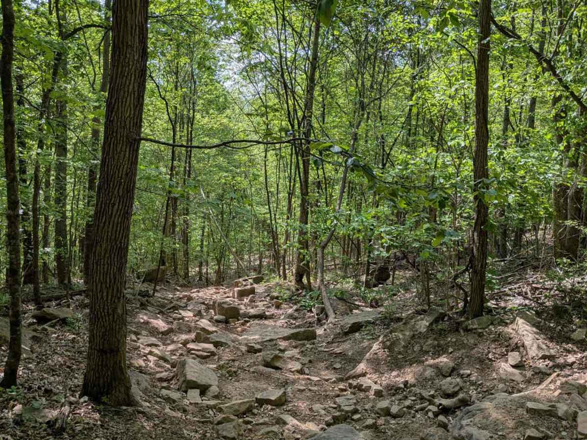 Trail 30 photo 2