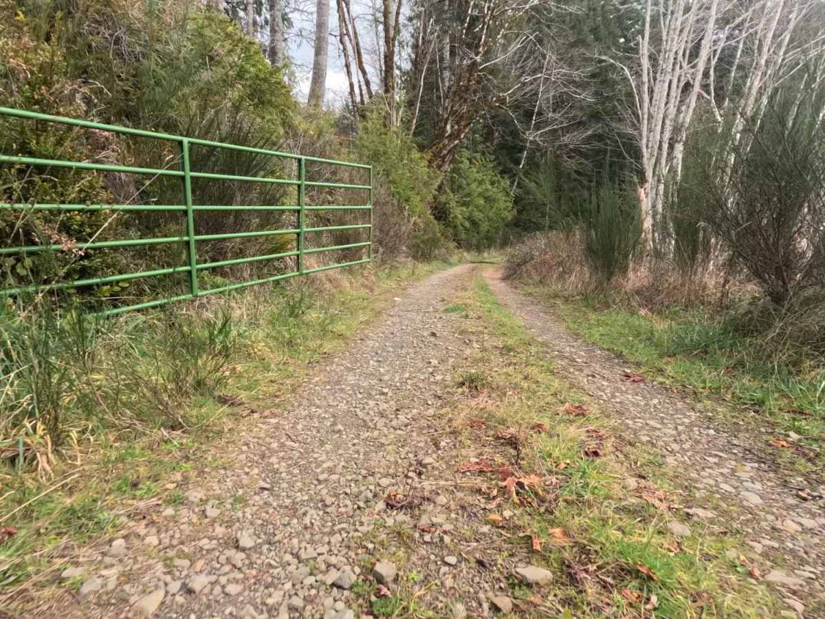 FS 4811011 trail photo