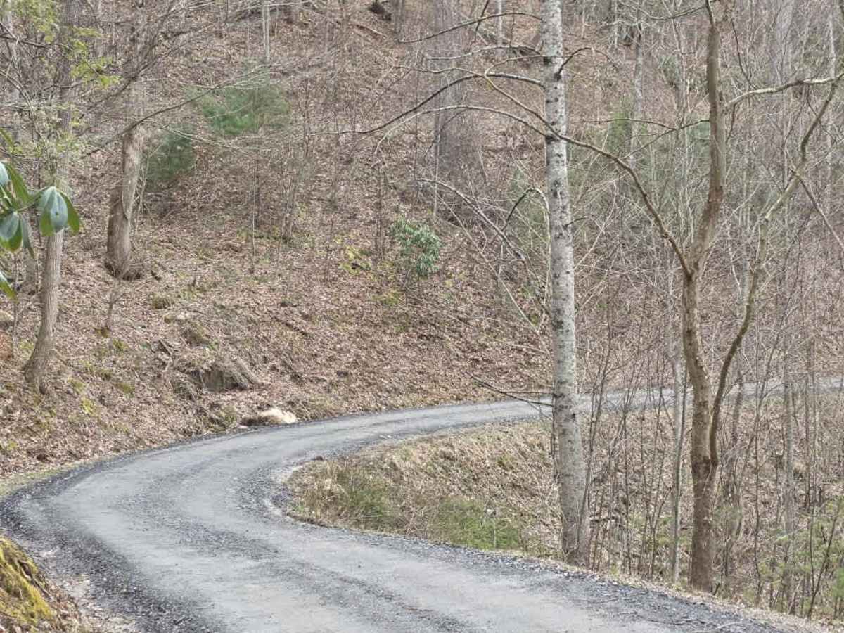 White Oak Flats Spur photo 3