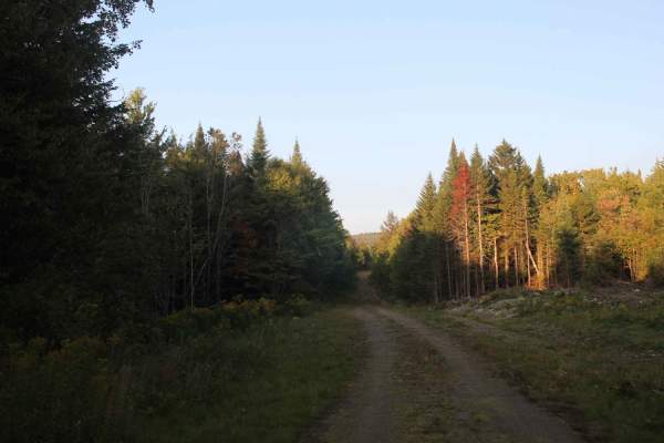 Gordons Trail