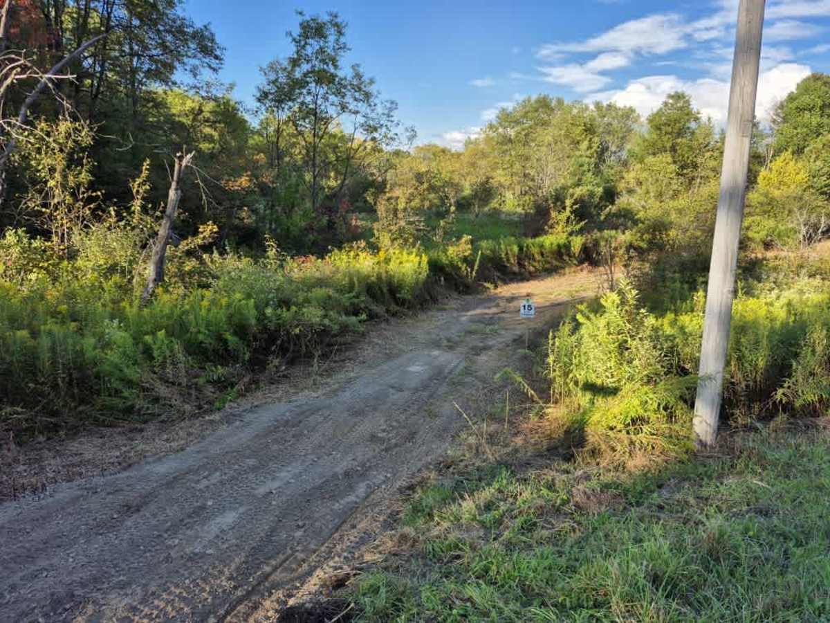 Byron Corners Orchard photo 6