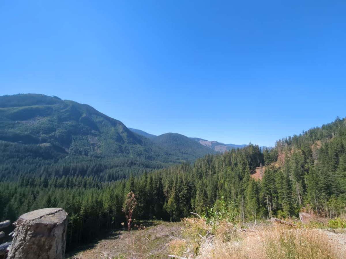 Martin Creek photo 3