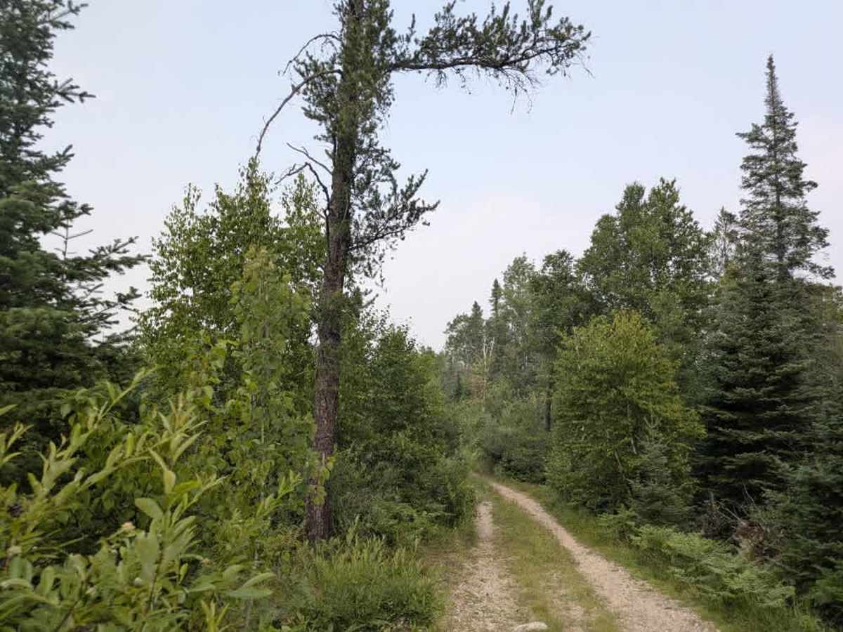 Muckawa photo 2