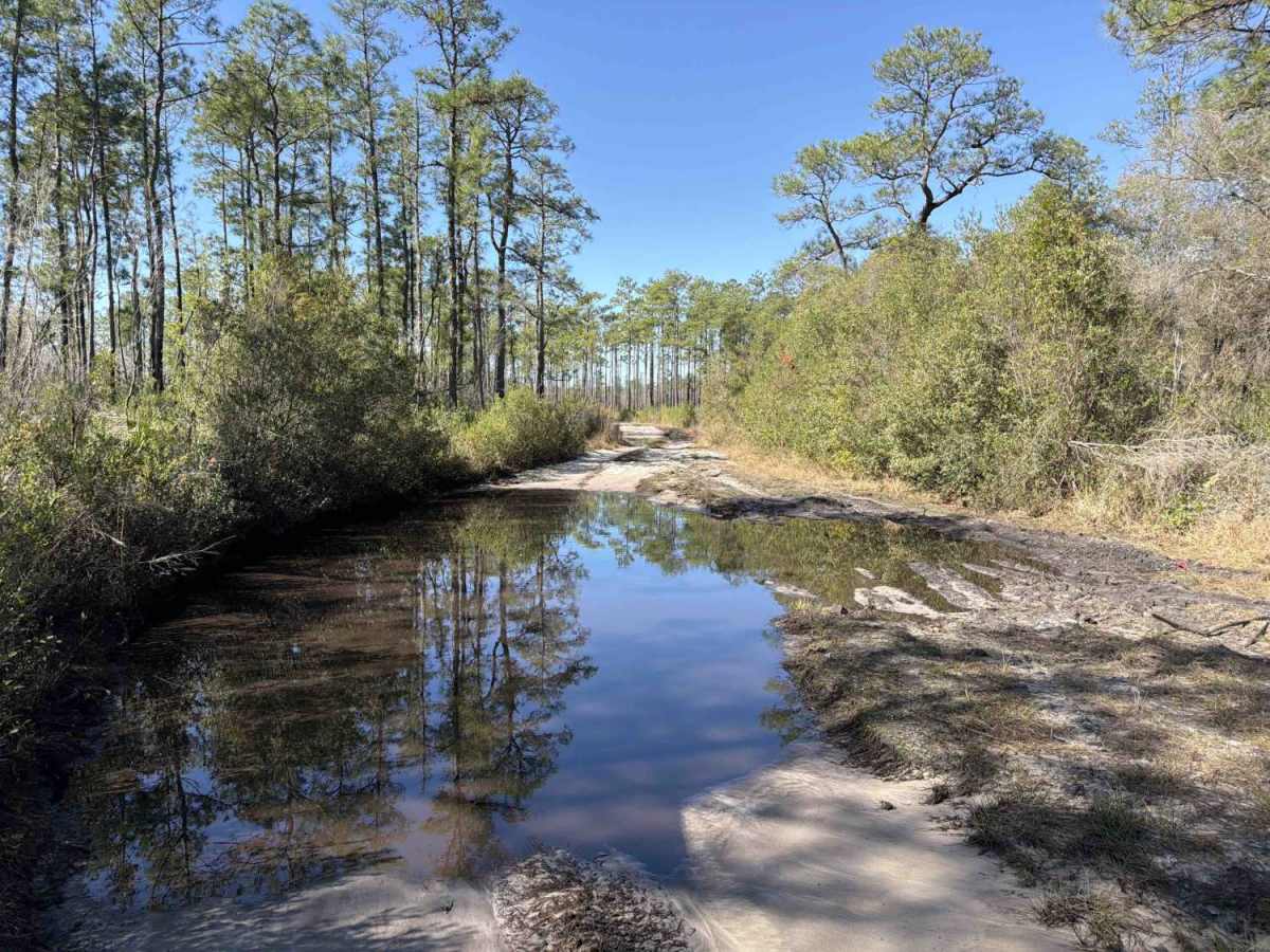 East Branch - FS 306 photo 2
