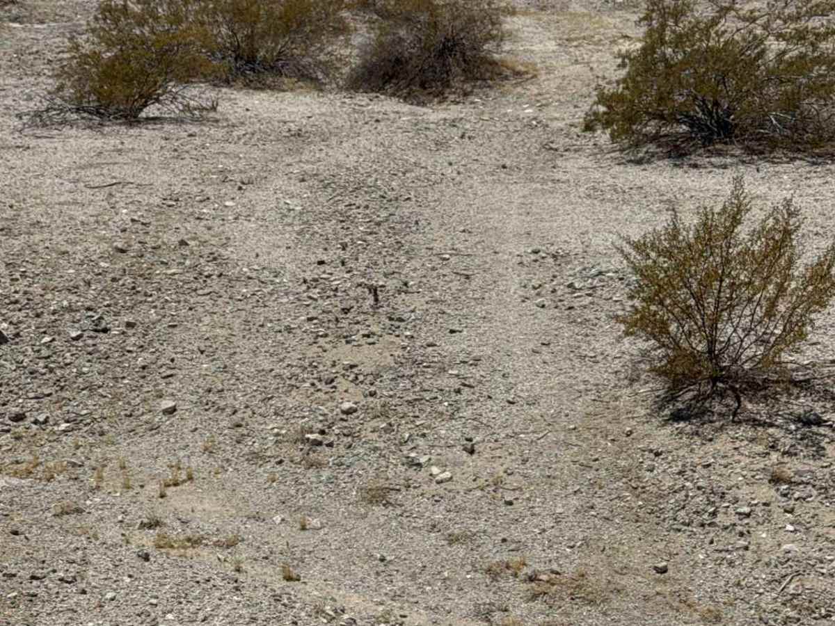 Across the Desert photo 3