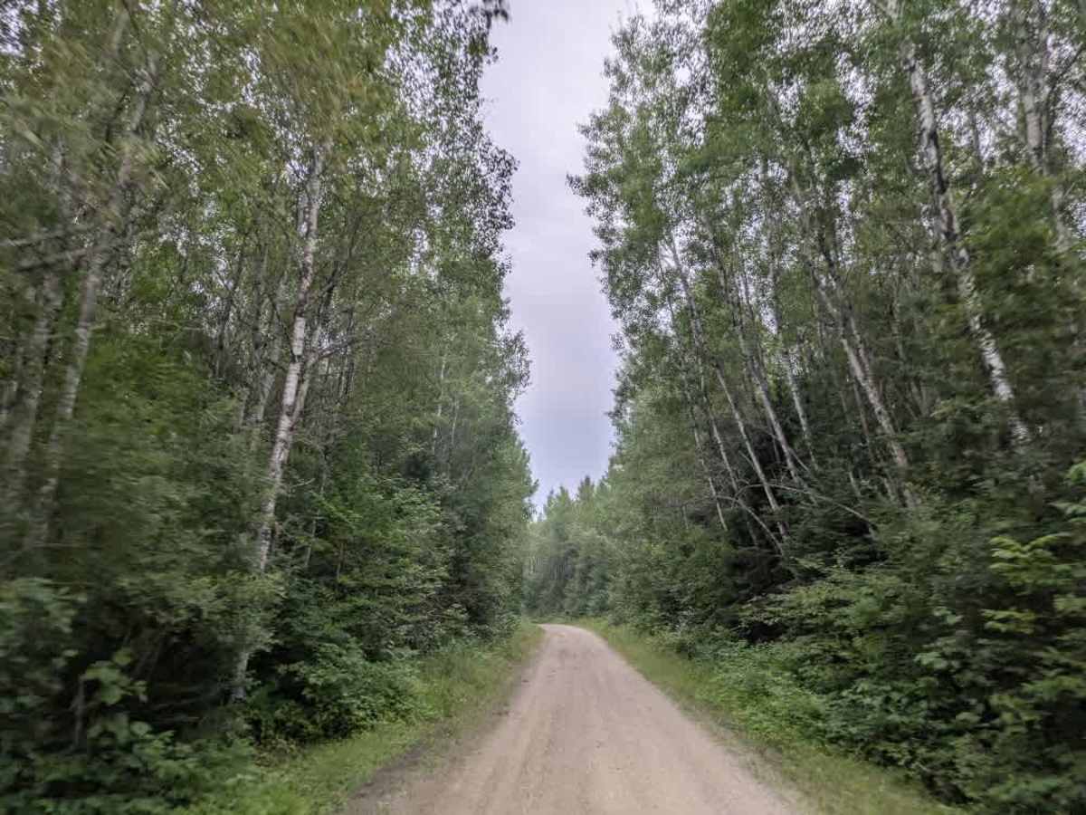 Fawn Creek Road photo 6