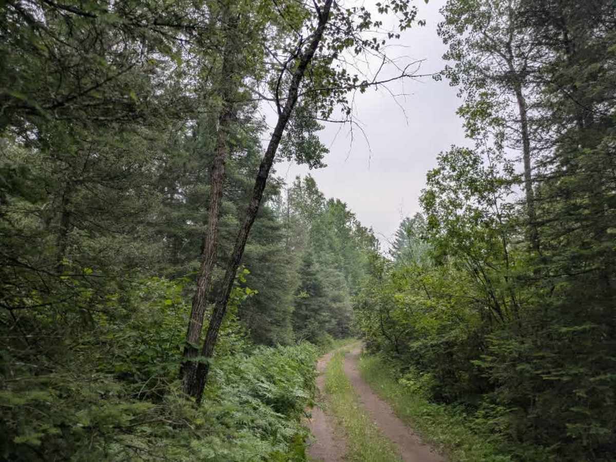 McDougal Lake Spur photo 3