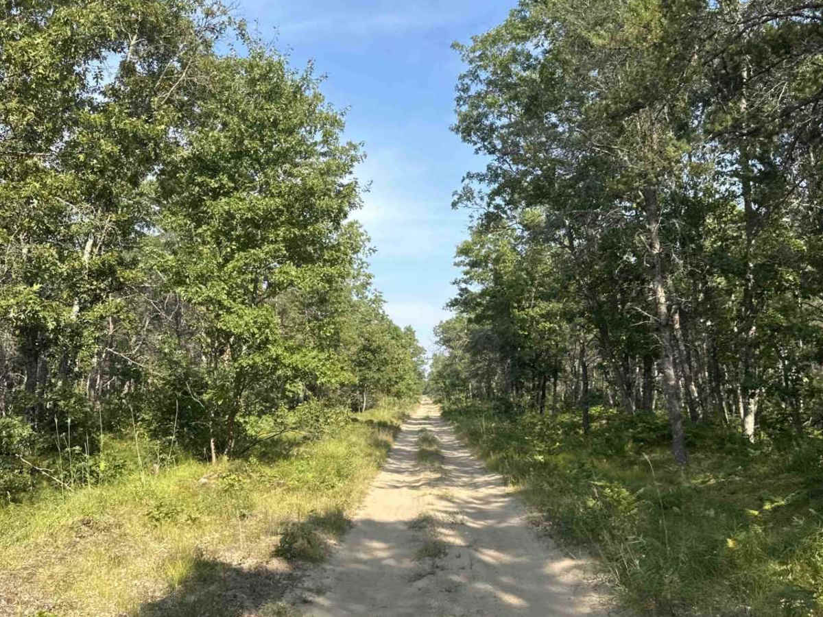 FS 3185 photo 4