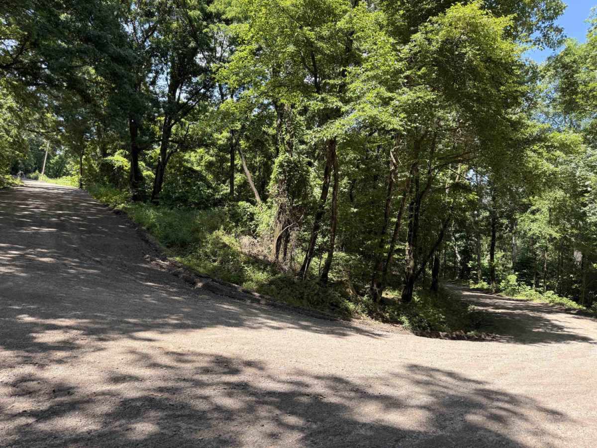 Rackley Mountain Road photo 4