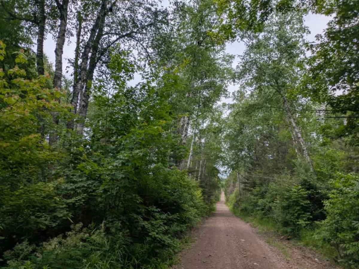 Kane Lake photo 6