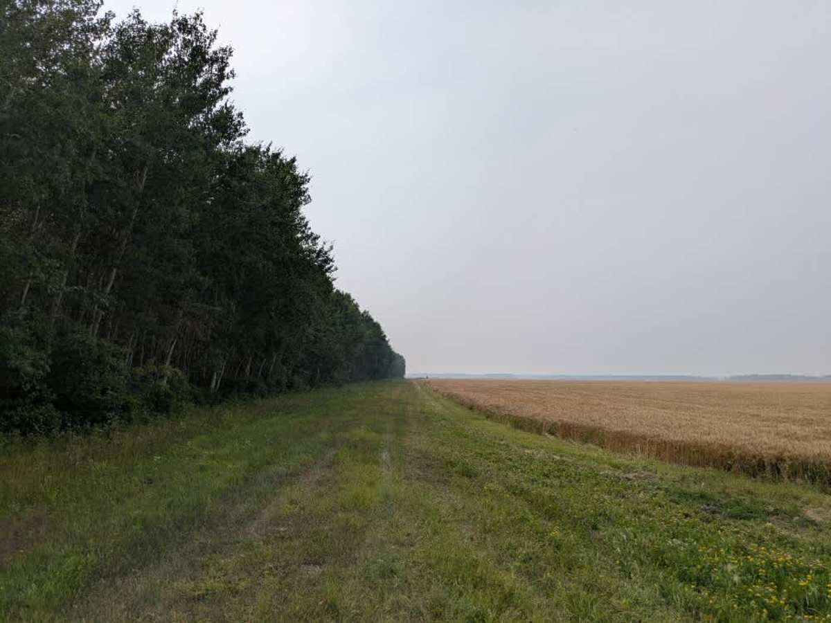 County Road 44 photo 3