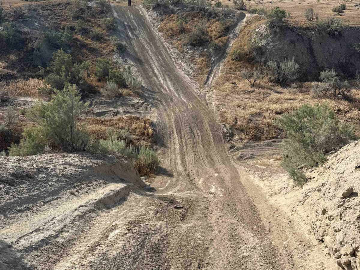 BLM 182 photo 3