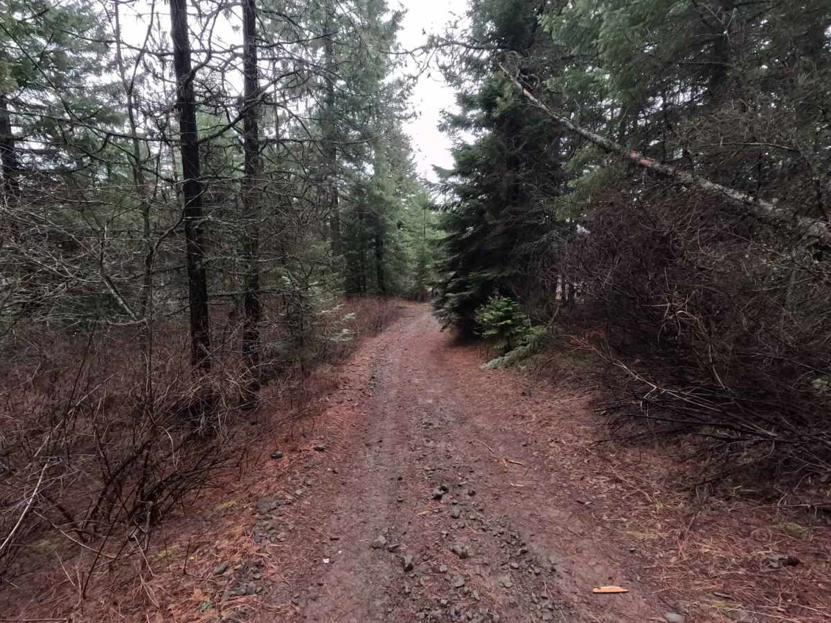 Potato Hill Connector photo 2