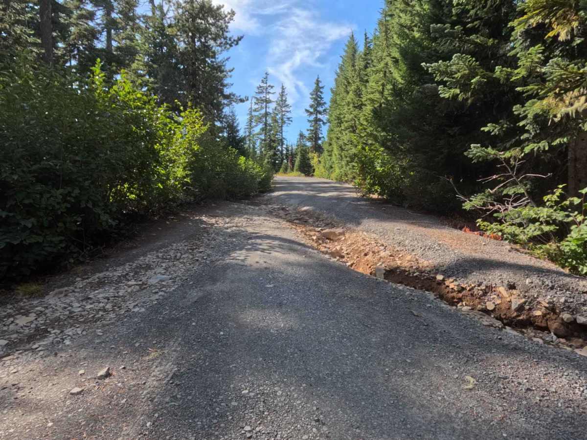 FS 1650 trail photo