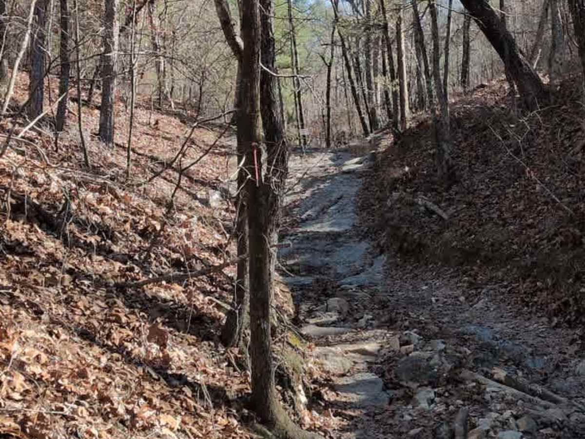 F5 Rock Fink Ravine photo 3