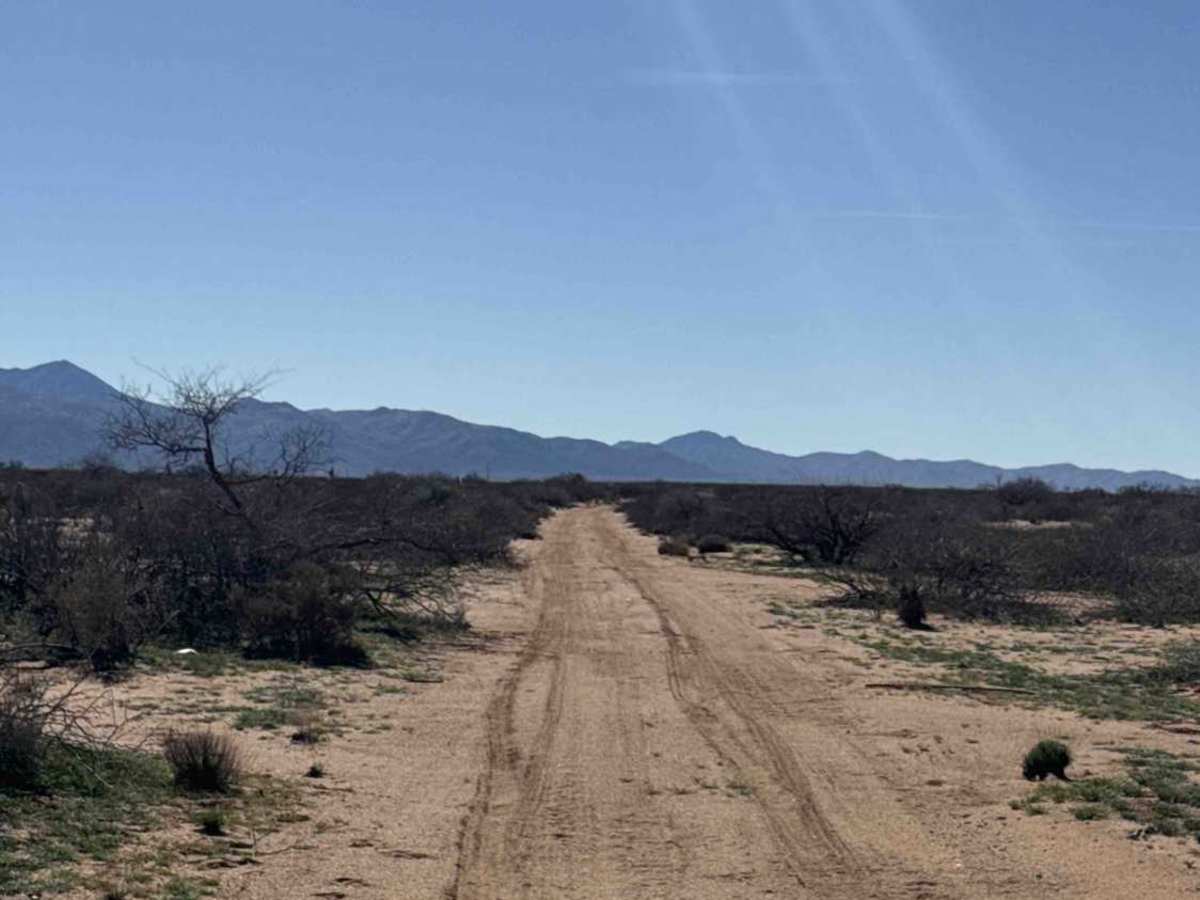 Rosewood Road  photo 2