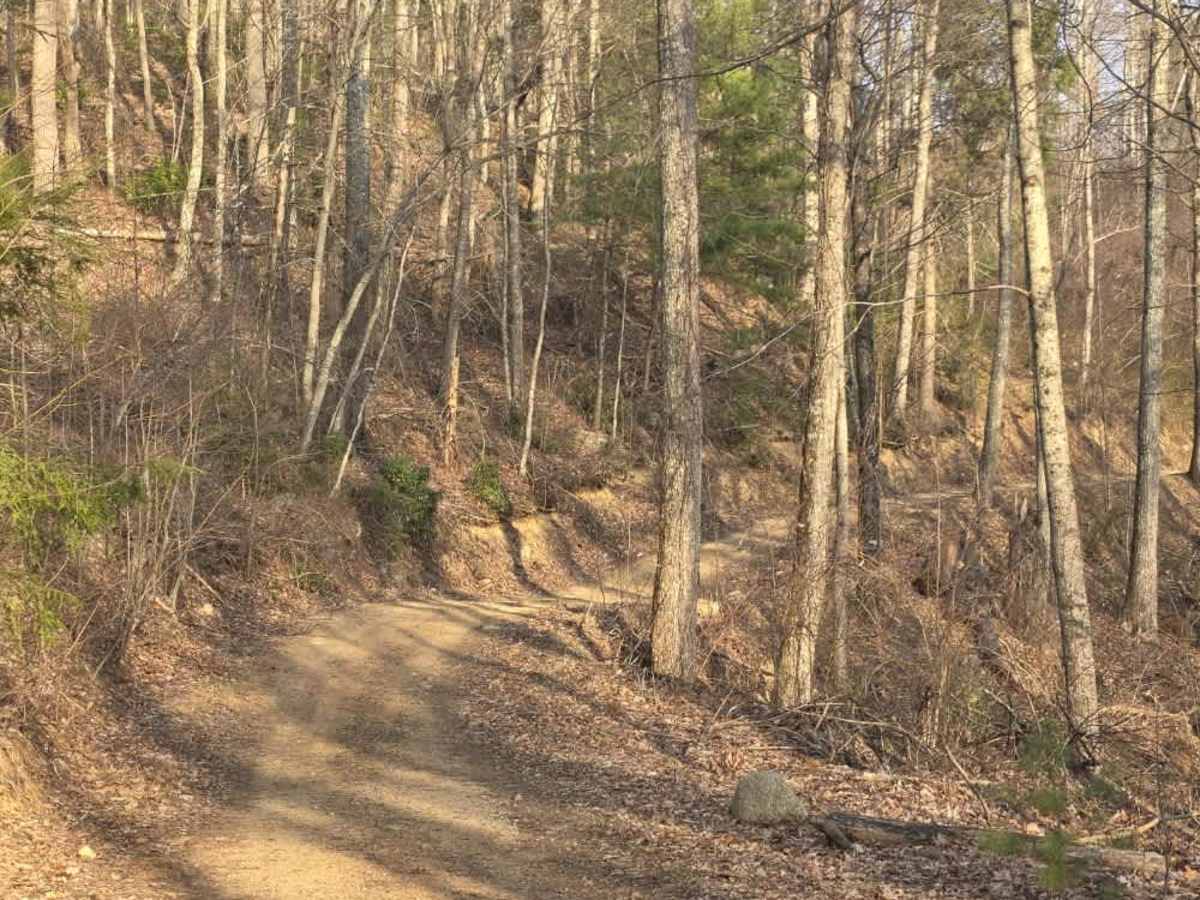 Laurel Mountain / White Rock photo 6