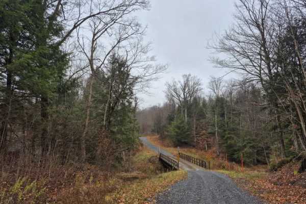 Fall Brook Easement Road