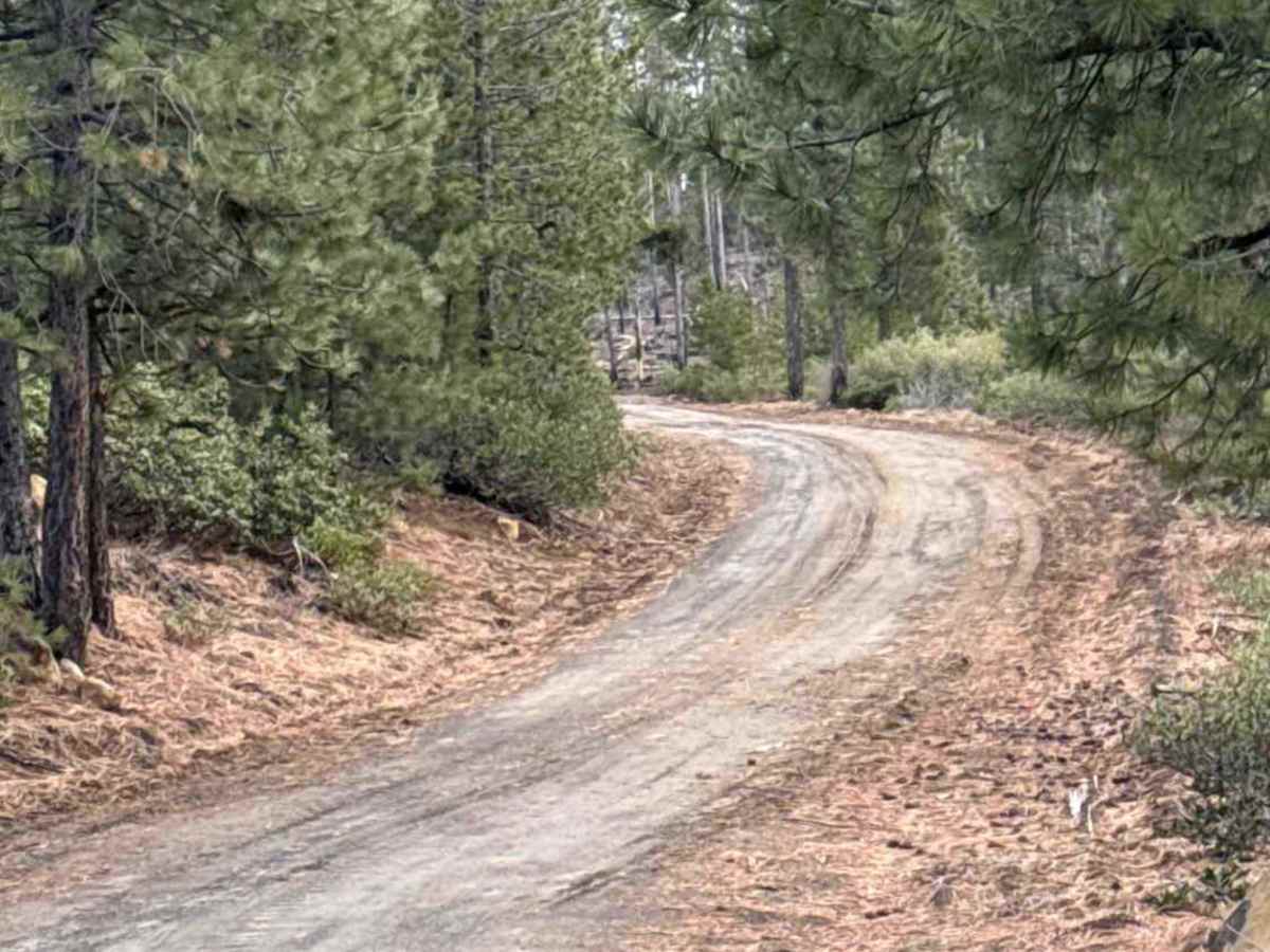 Forest Road 4613-000 trail photo