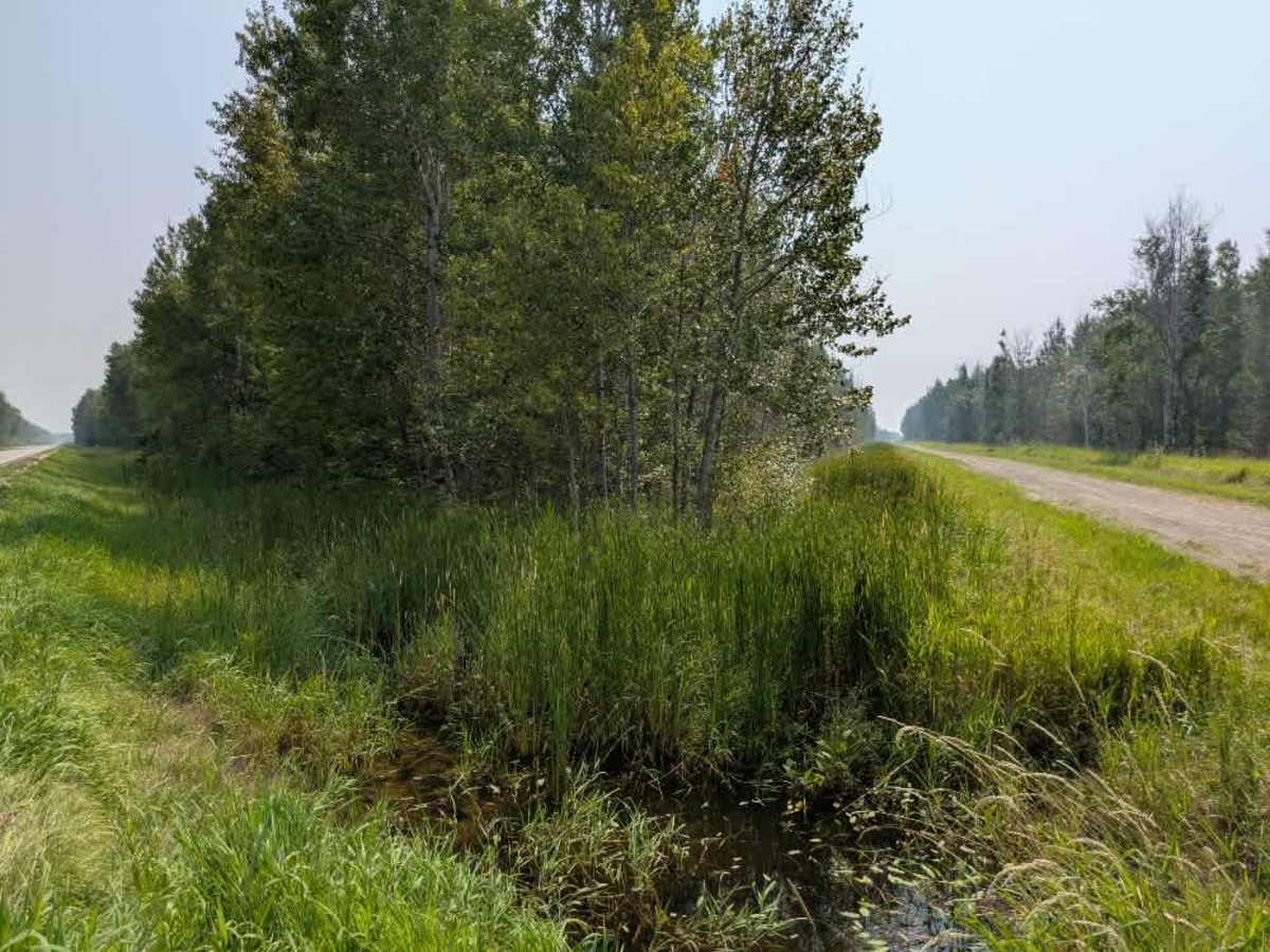 Loberg Road photo 4
