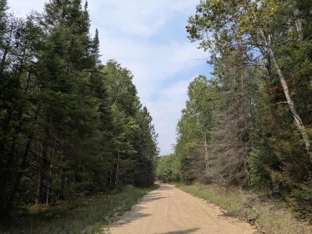 Ash Lake Road trail photo