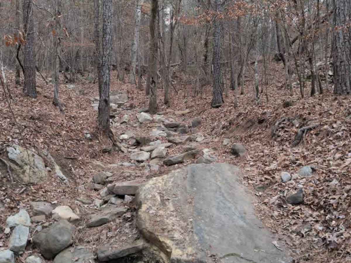 #7b Southern Diamondback trail photo