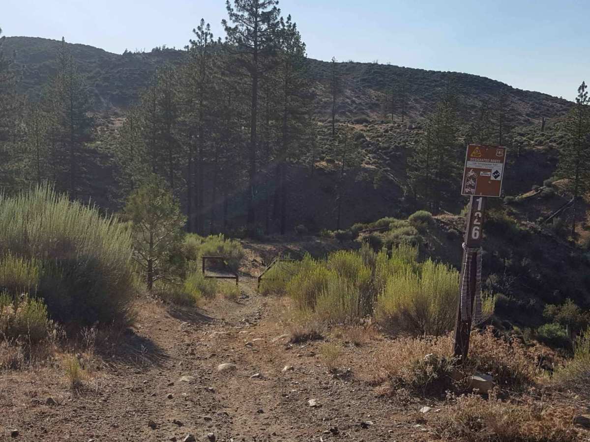Yellowjacket Singletrack - FS 20W24 trail photo