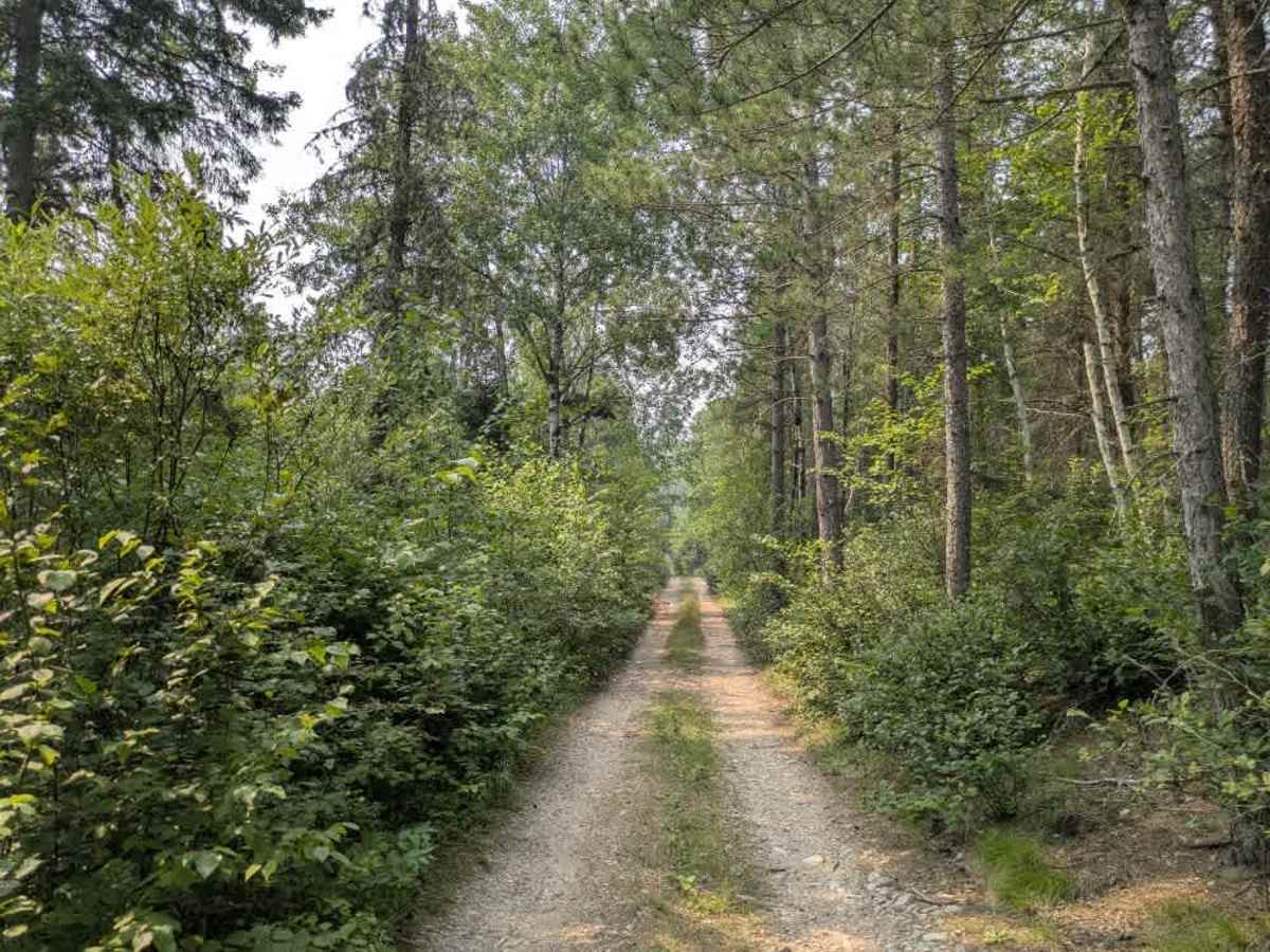 Whisper Lake photo 4