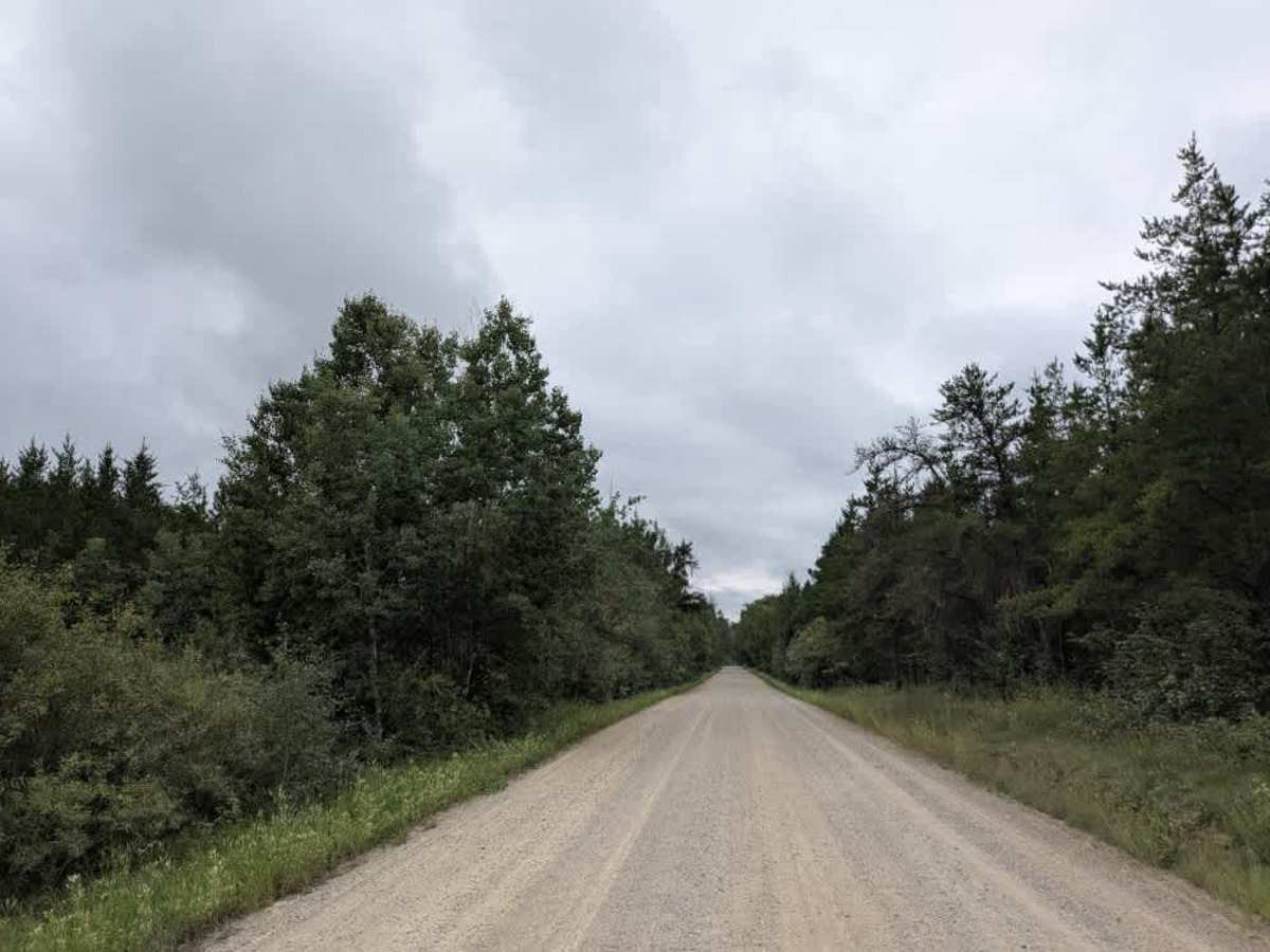 Thompson Forest Road  photo 5