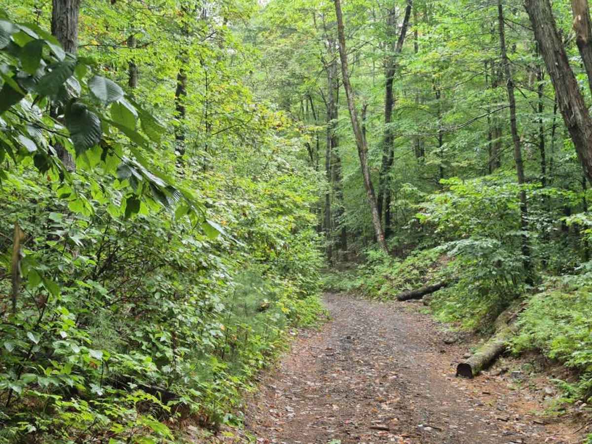 Pitcher Pond Trail photo 5