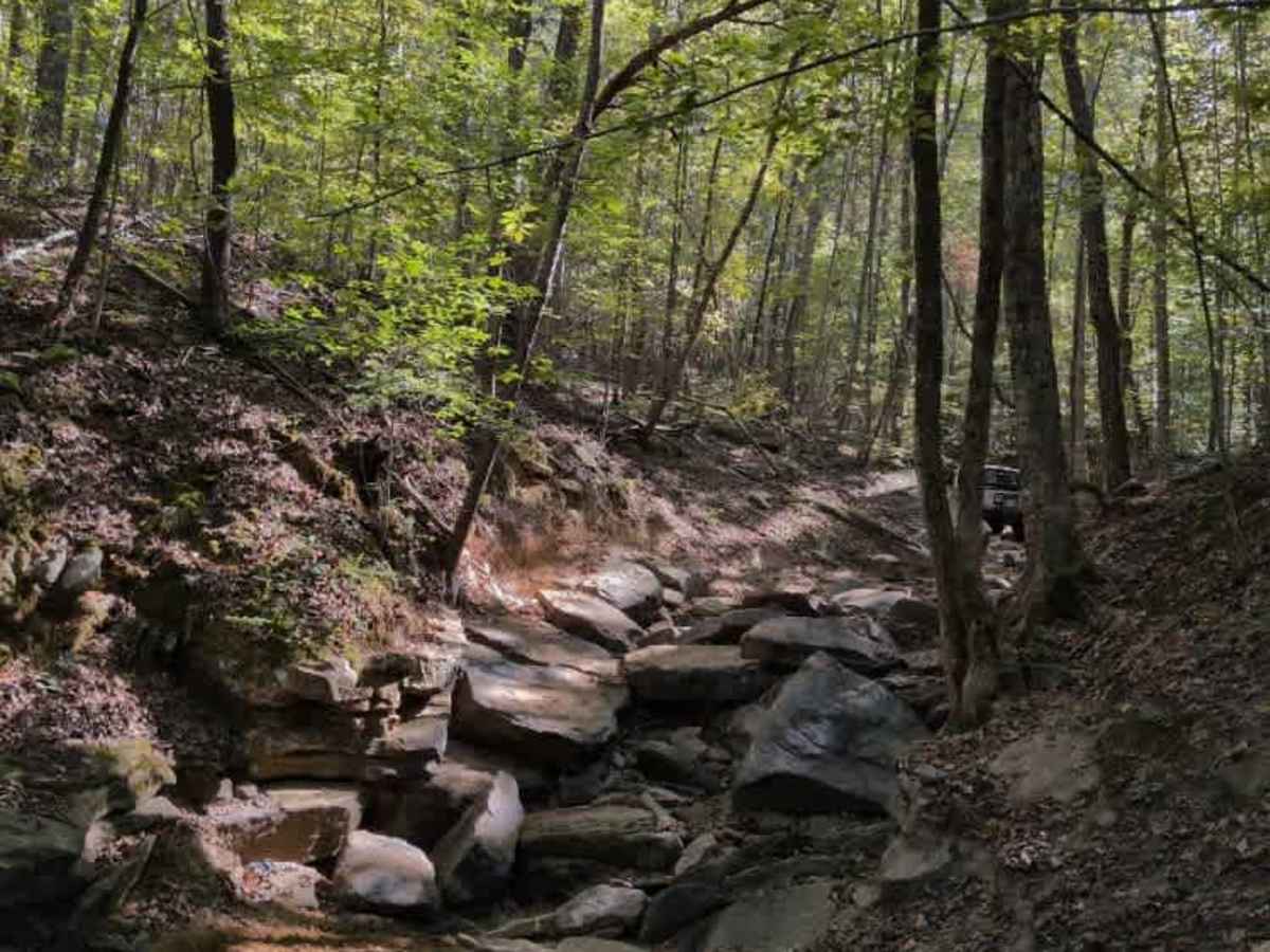 #136 - Fatty's Crack trail photo