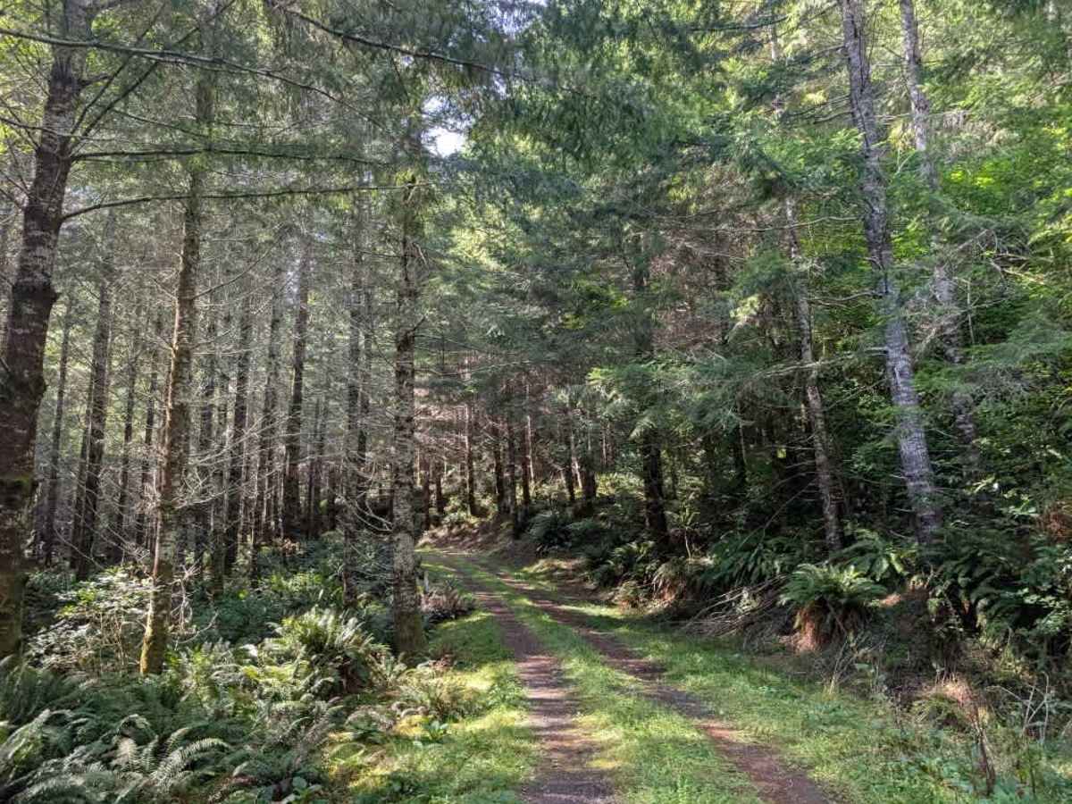 1380 photo 6