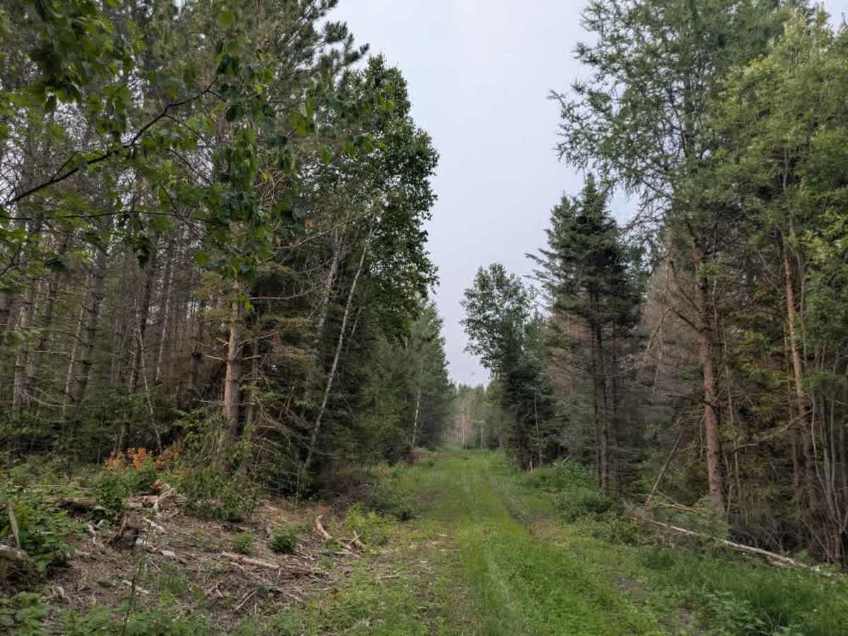 Wilbar Creek photo 5