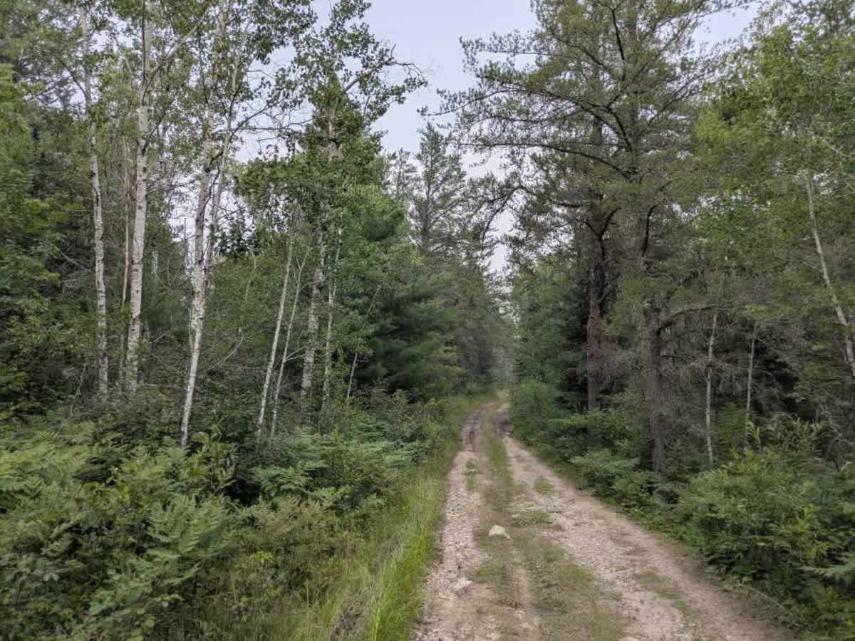 Muckawa trail photo