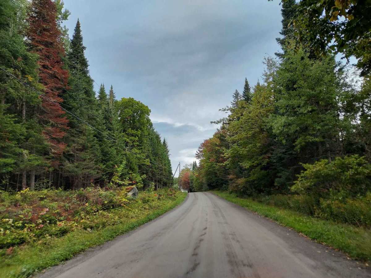 Hill Road photo 3