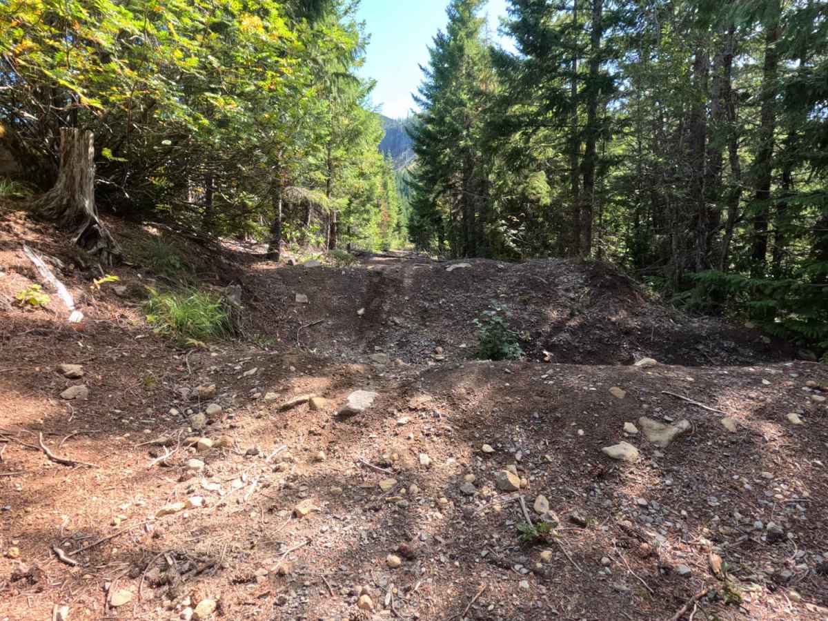 Ladd Creek / Cathedral Ridge - FS 1811-10 photo 6