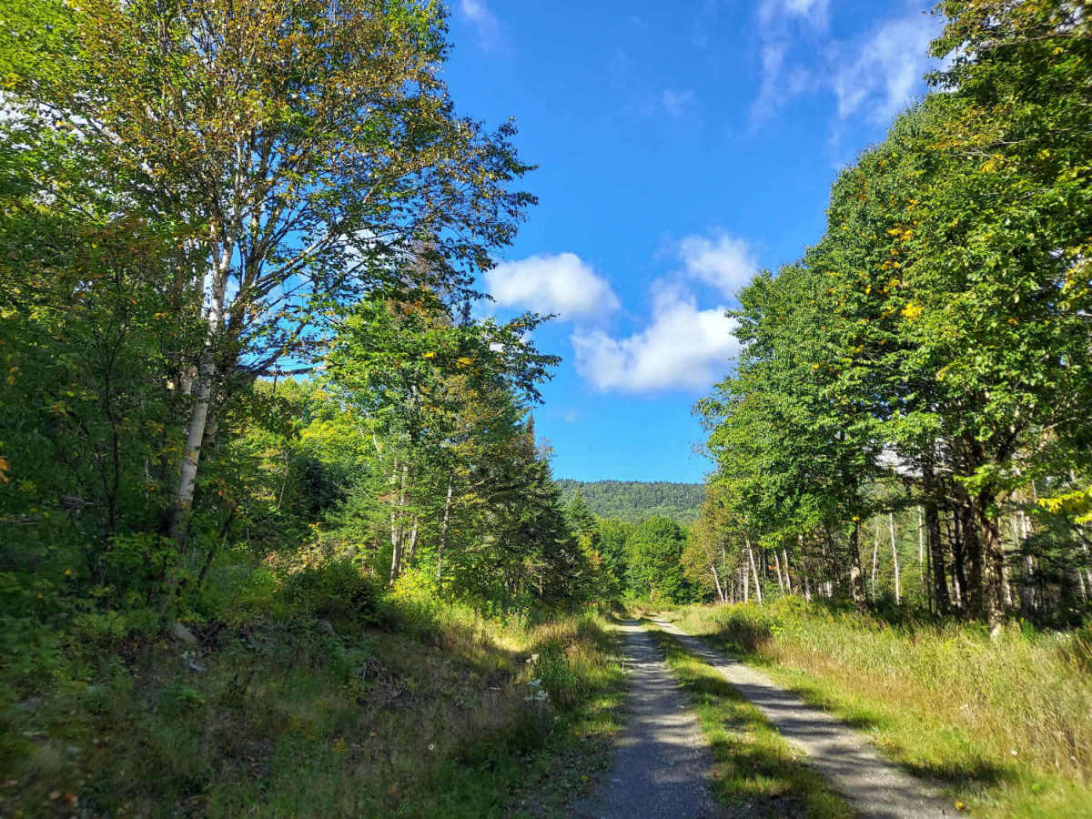 West Inlet Road photo 6