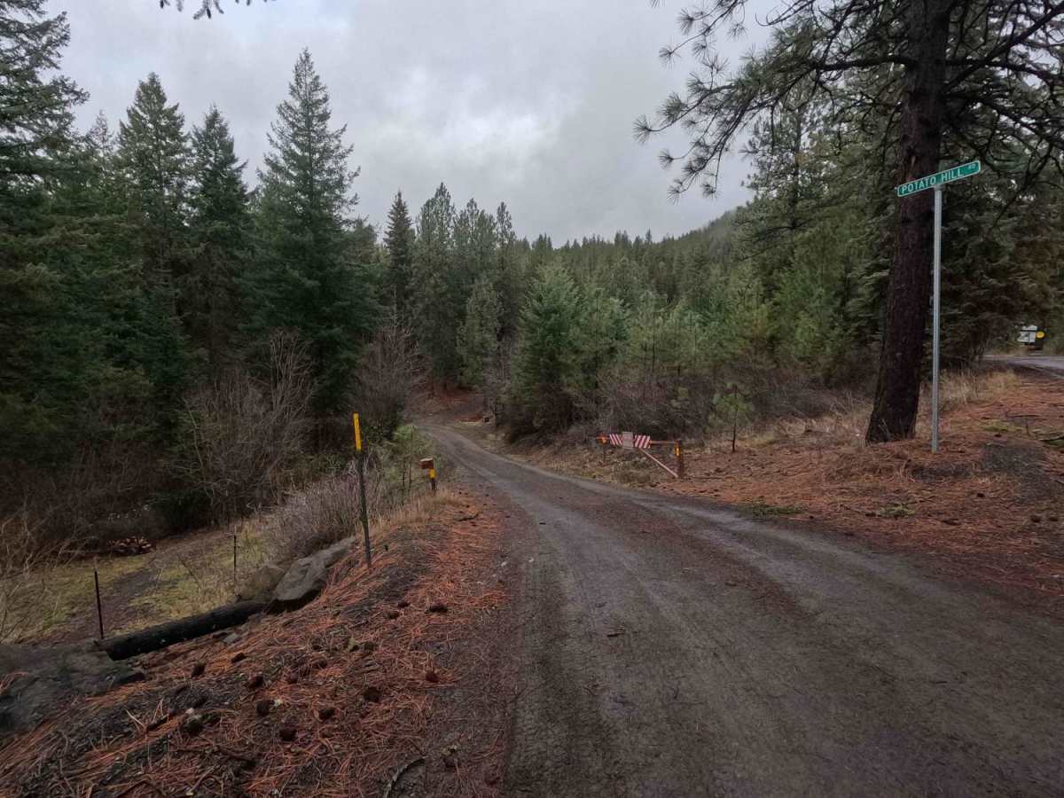 Potato Hill Road - Trail 783 photo 2