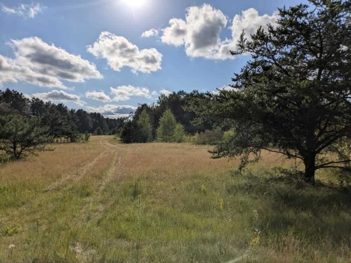 Ditch 10 photo 5
