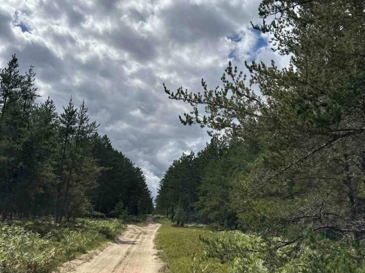 FS 2880 photo 5