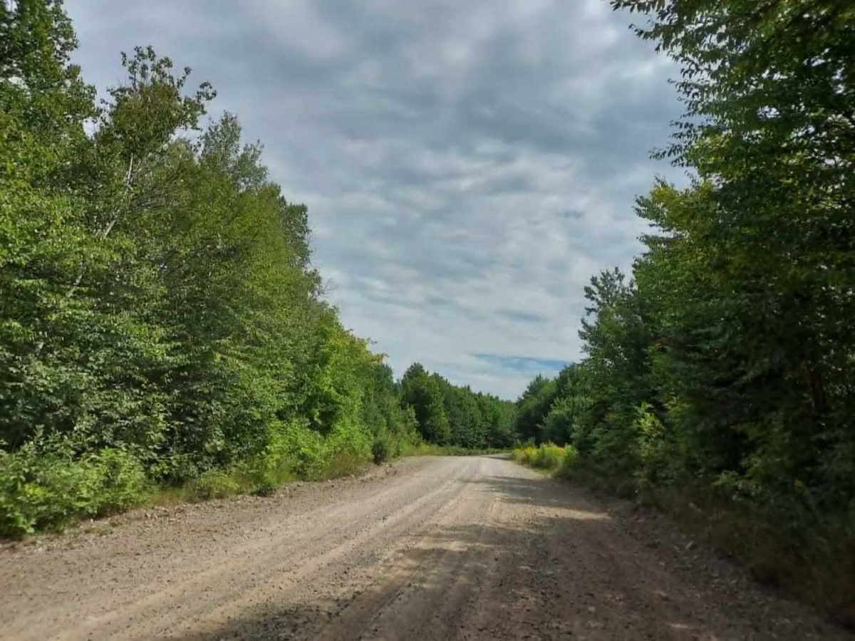 Duck Pond Road photo 2