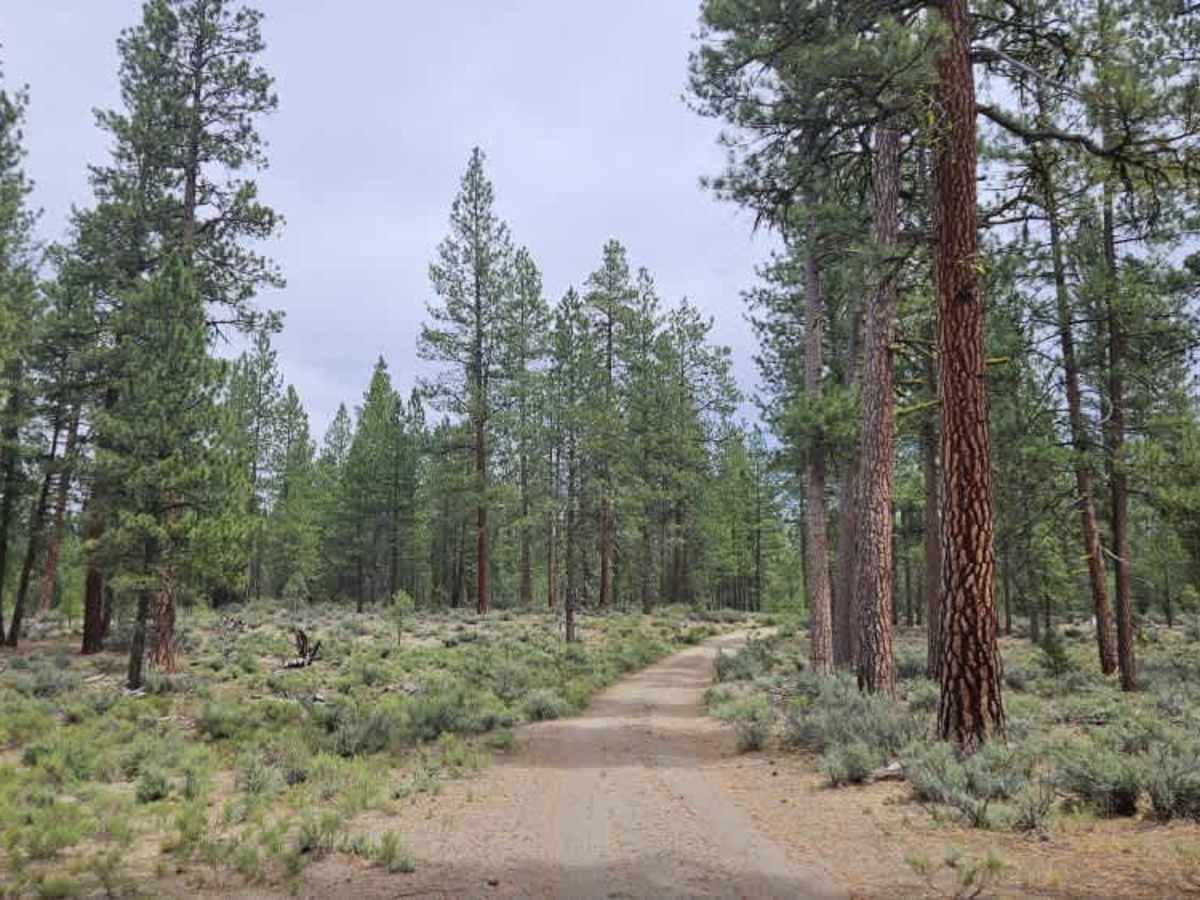 FS 8600830 trail photo