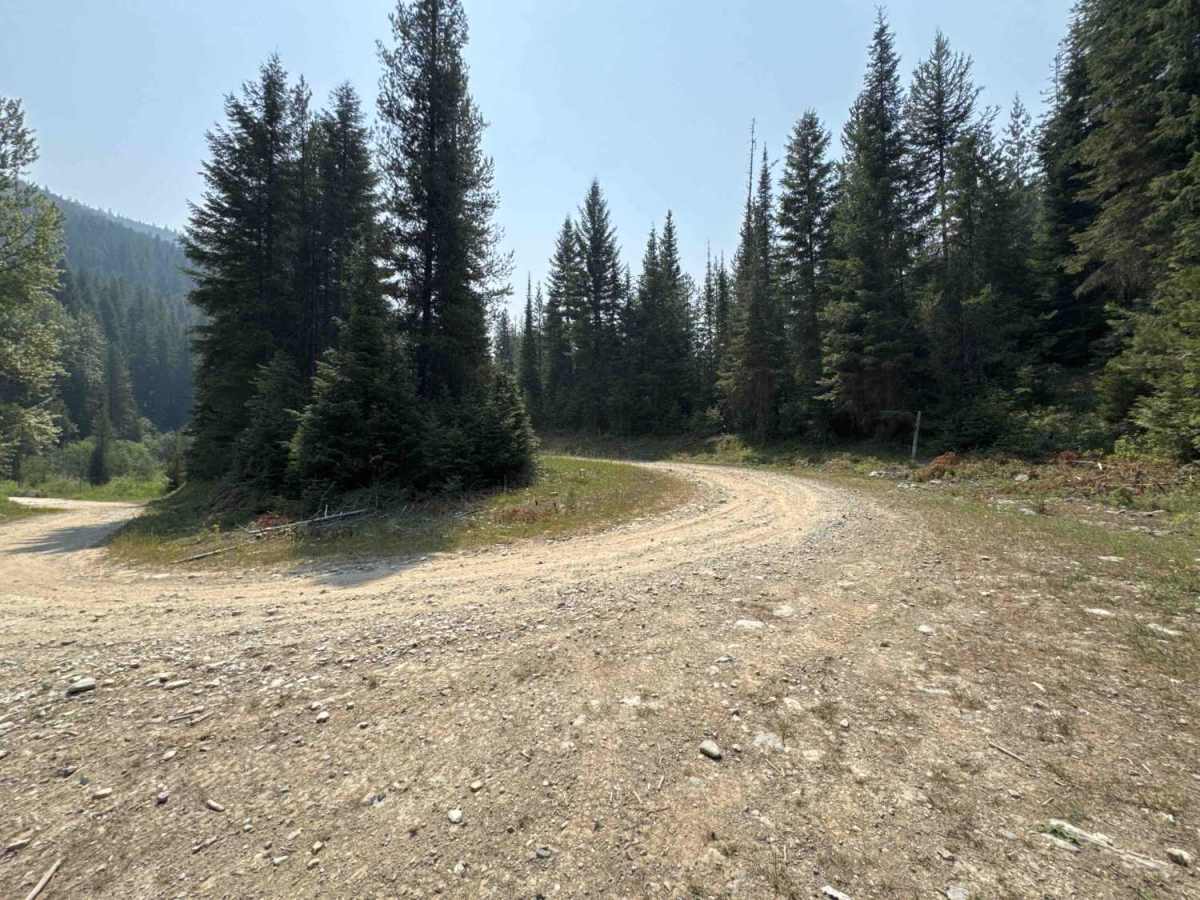 Rivers Creek - FS 3820 trail photo