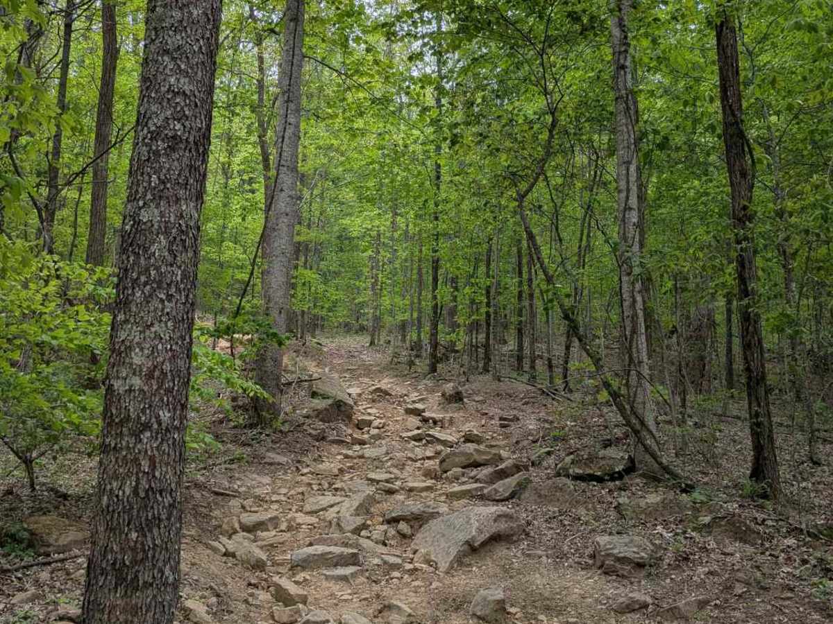 Trail 14 photo 5