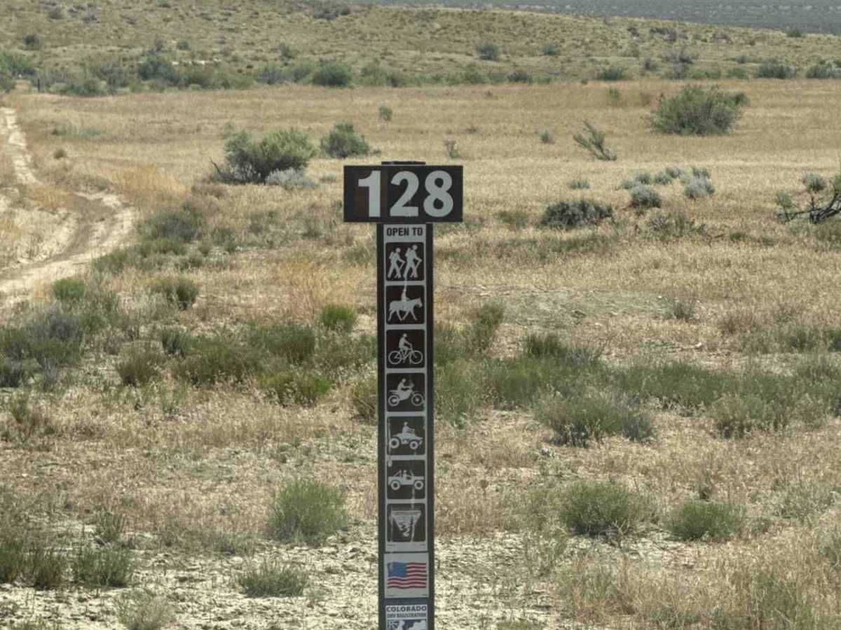 BLM 128 photo 3