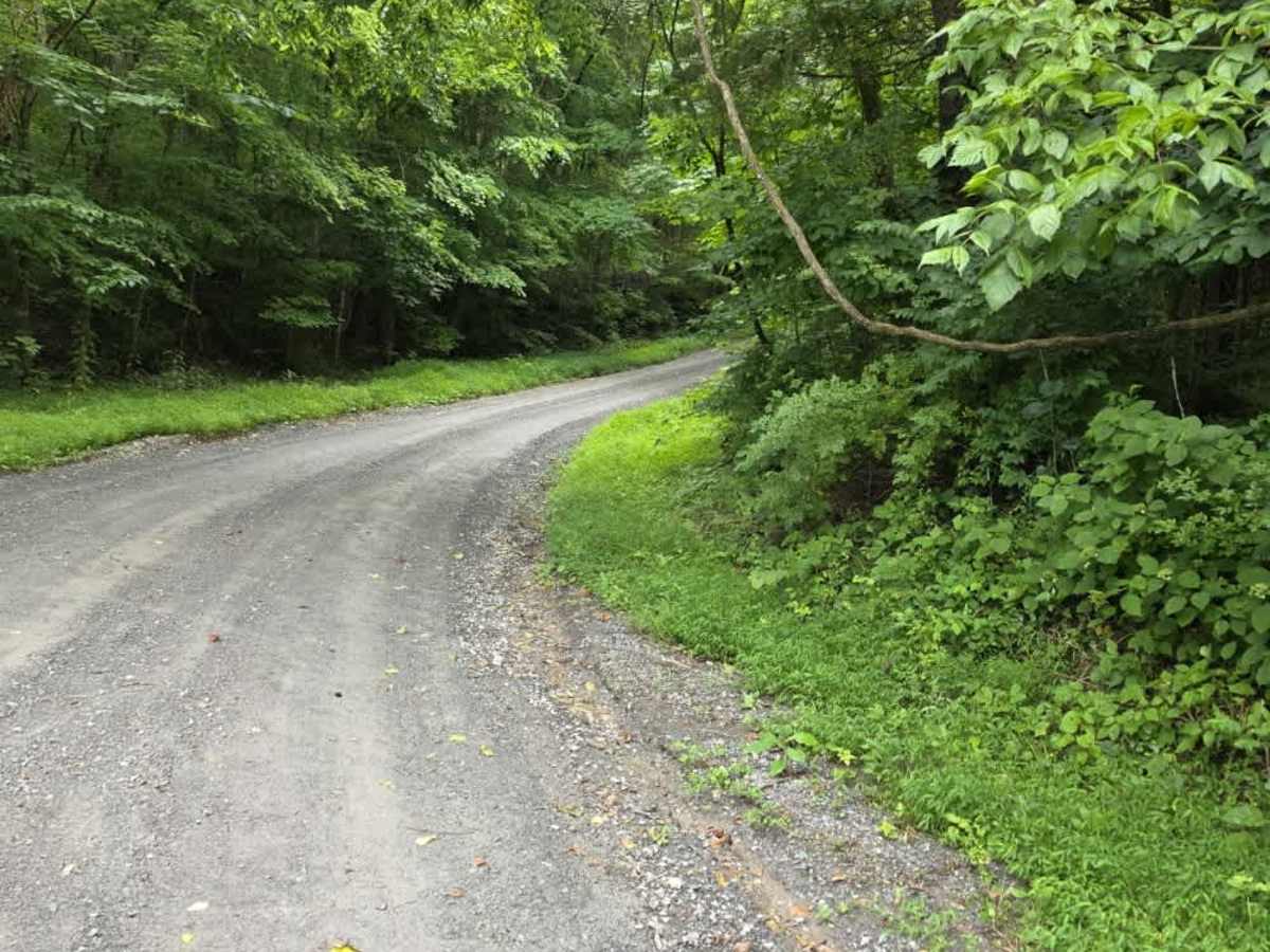 Shockley Hill Road - Macon County Tour photo 6