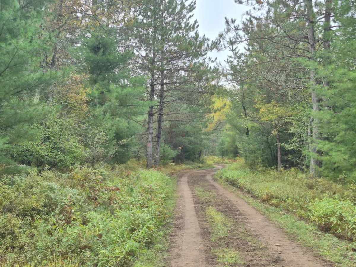 Pitcher Pond Trail photo 2